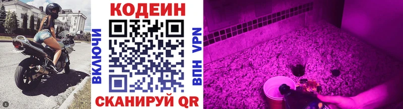 Купить где  Гагарин  Codein напиток Lean (лин) 