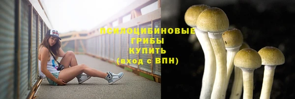 хмурый Зерноград