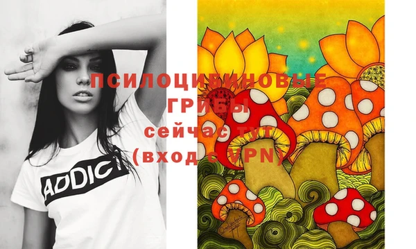 хмурый Зерноград