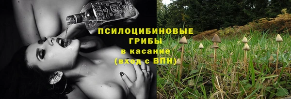 хмурый Зерноград
