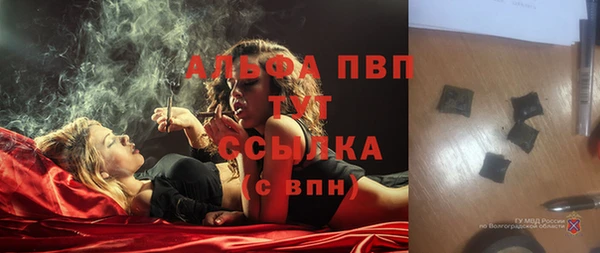 хмурый Зерноград